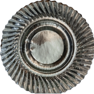 Disposable Silver Paper Plate Pack of 25